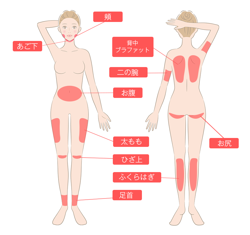 チップimage